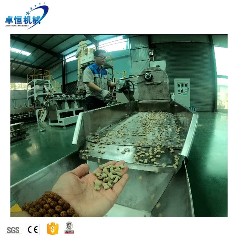 Pet food extrusion line running with finished dry kibble samples