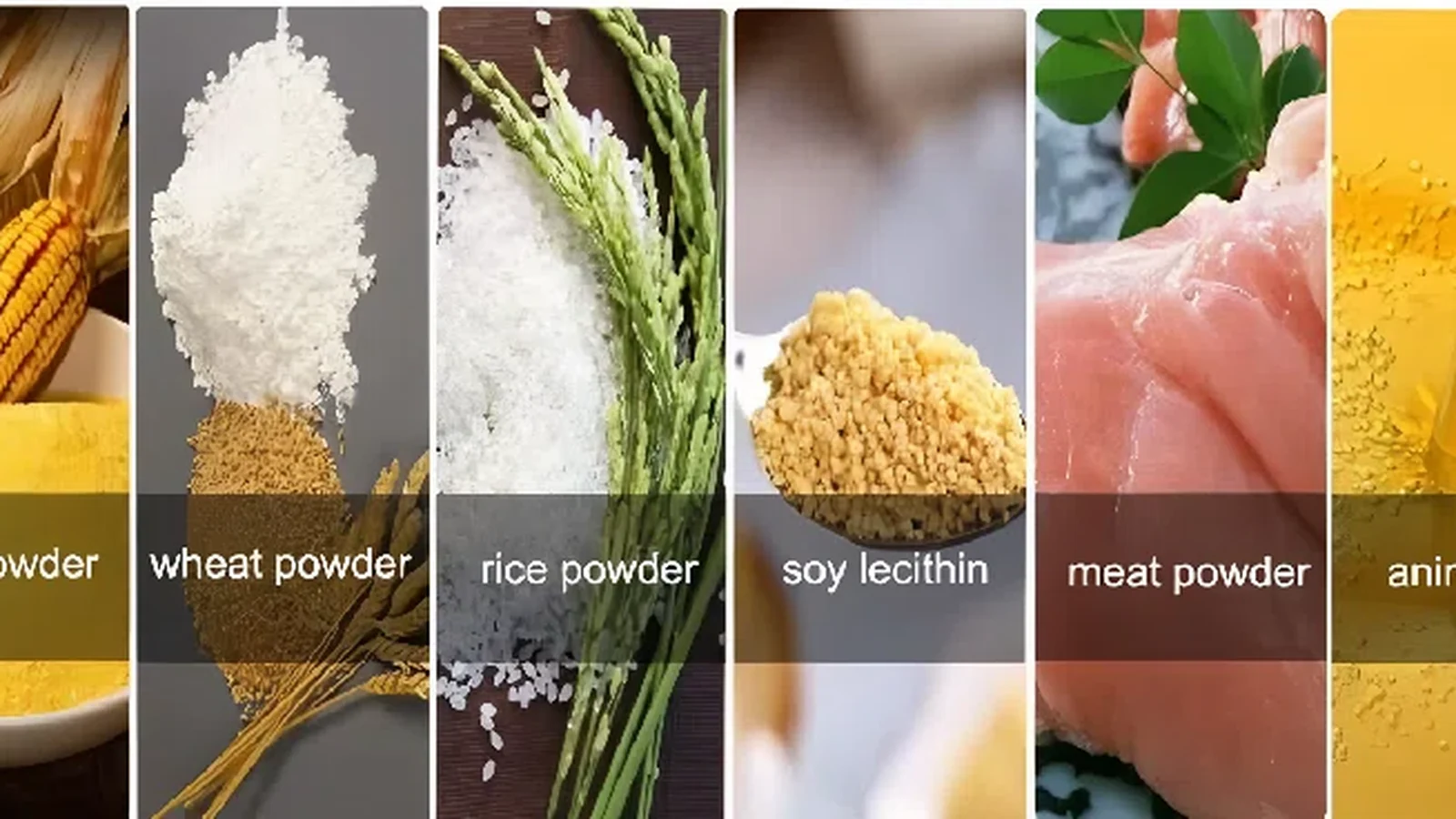 Feed raw materials reference used to organize the ingredient and formula brief