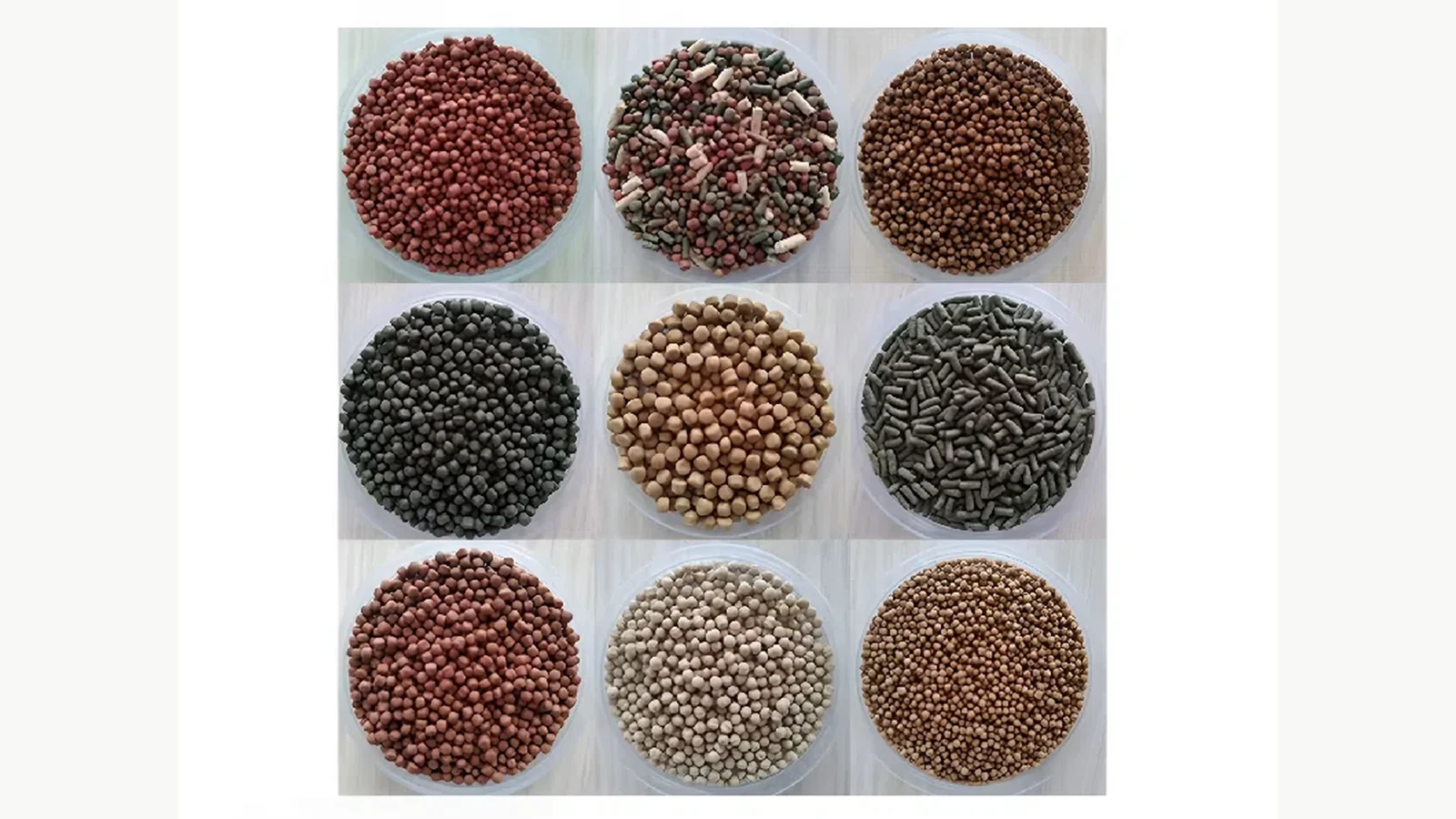 Representative aquatic feed pellet samples in different sizes and shapes